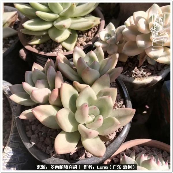 學會和解:與自己、與他人、與世界 學會和解:與自己、與他人、與世界