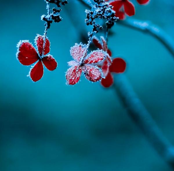 我們越來越愛回憶了,十二首憶舊的詩詞,懷念曾經的美好 我們越來越愛回憶了,十二首憶舊的詩詞,懷念曾經的美好