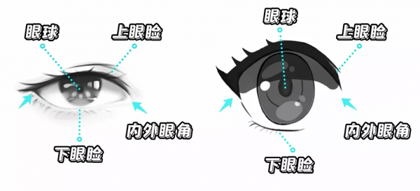 成功率99.99%!新手小白也能學會二次元眼睛畫法 成功率99.99%!新手小白也能學會二次元眼睛畫法