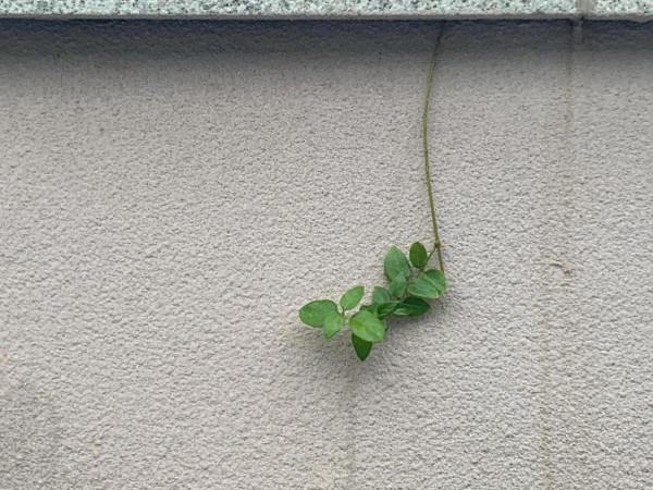 從燈火闌珊出發，尋江南水墨風情