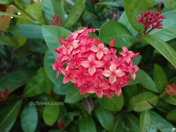 黑卡系列也出手機?索尼Xperia Pro-I上手與實拍 黑卡系列也出手機?索尼Xperia Pro-I上手與實拍