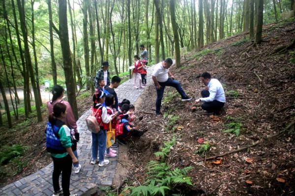 小記遊學高峰森林公園:研學路辨中草藥材,訪靈芝谷看林下經濟 小記遊學高峰森林公園:研學路辨中草藥材,訪靈芝谷看林下經濟