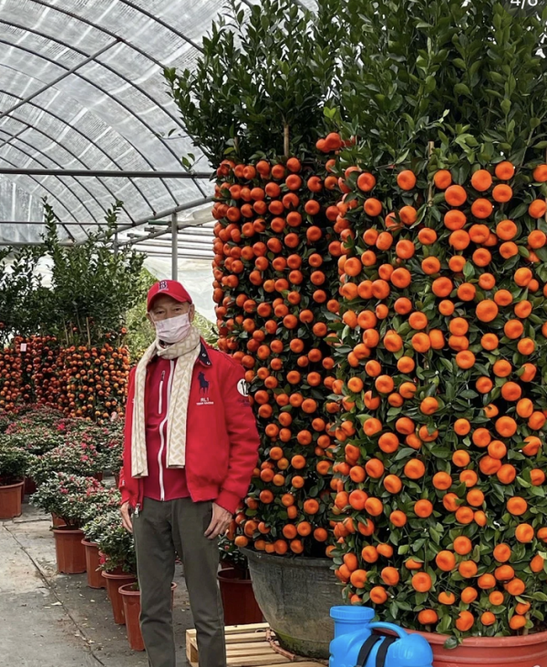 75歲羅家英攜汪明荃買花過年！逛市場盡顯恩愛，雙手插兜好帥氣