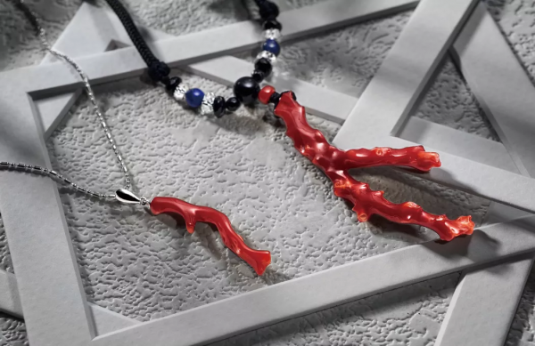 你知道珊瑚是不可以隨意買賣嗎？