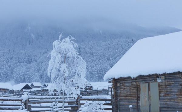 多少人的夢想!湖南姑娘用5年,在新疆禾木打造了個絕美花園 多少人的夢想!湖南姑娘用5年,在新疆禾木打造了個絕美花園
