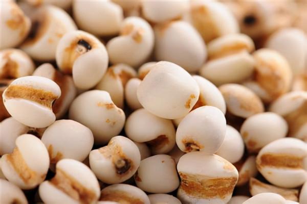 履治不愈的痘痘,特效方——消痤湯 履治不愈的痘痘,特效方——消痤湯