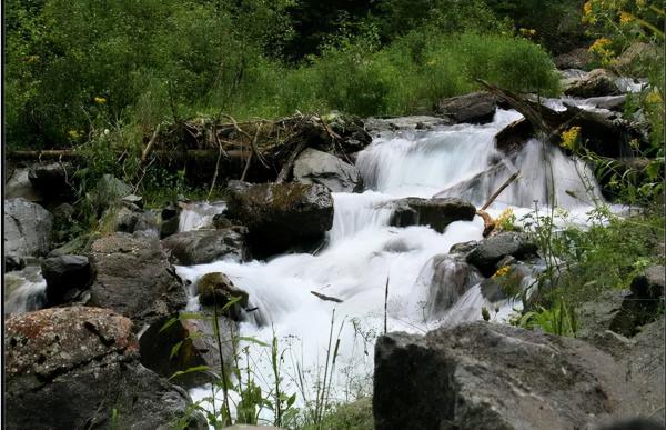 天山畫廊東大塘 純粹的令人神往