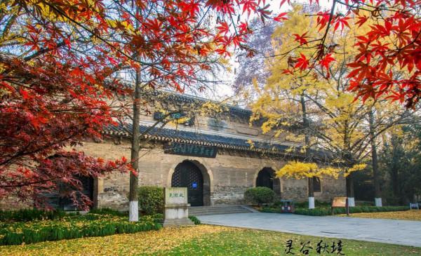 一入秋，南京就成了金陵