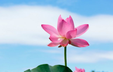 無限極老闆心理雞湯：在複雜的世界，如何做好自己？