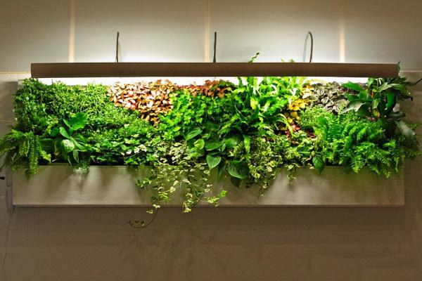 栽培植物也要看它的氣質,看看哪種花卉更適合你的家,一起來看 栽培植物也要看它的氣質,看看哪種花卉更適合你的家,一起來看