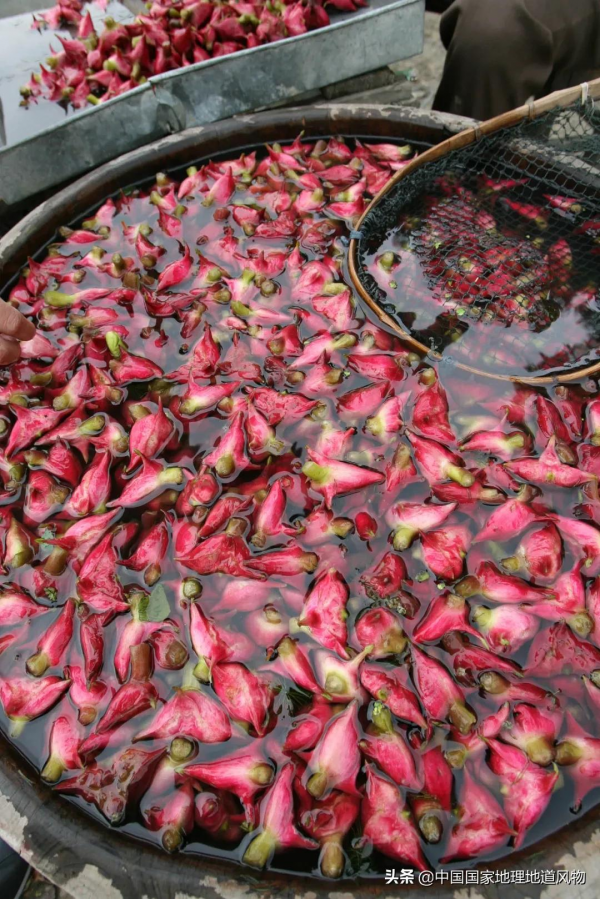 江南人的“水八仙”,北方人真的不懂 江南人的“水八仙”,北方人真的不懂