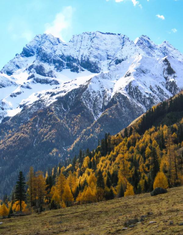 為什麼全國都愛四川的秋天! 為什麼全國都愛四川的秋天!