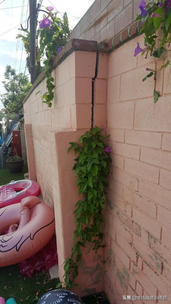 危樓高百尺，35張圖片提醒我們房屋安全不是兒戲