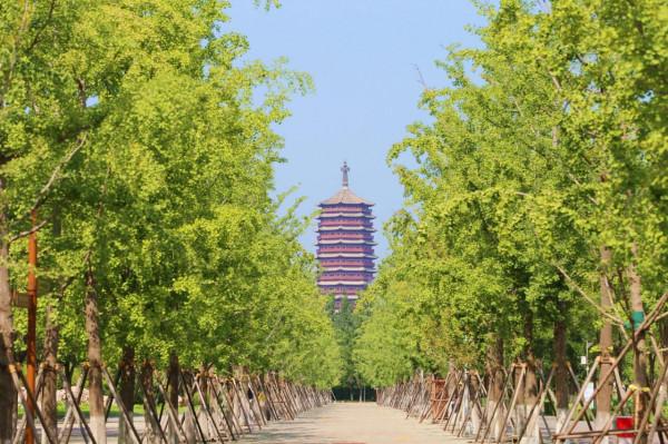 多圖直擊 醉美園博園