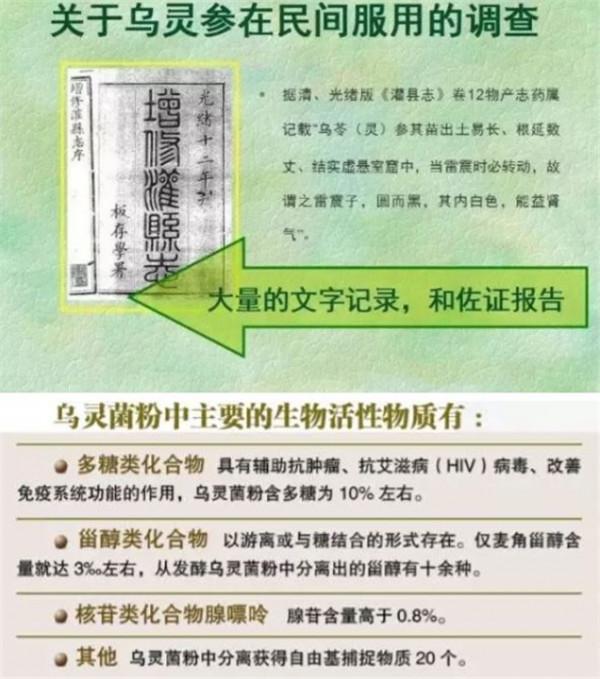 長在白蟻窩裡的菌類,價格比黃金還貴,為什麼挖到的人不願意賣? 長在白蟻窩裡的菌類,價格比黃金還貴,為什麼挖到的人不願意賣?