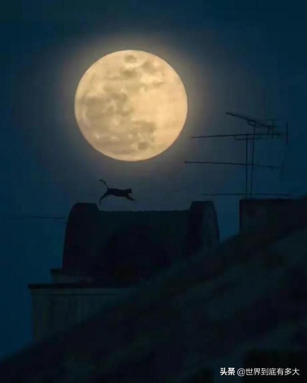 68張照片，帶你見識泰國，不為人知的一面