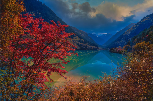 大美秋天！每一張都是桌布