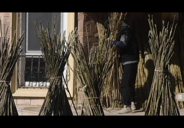 竹製魚竿如何製作？（上）