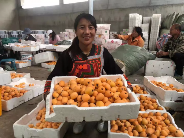 邊幹農活邊直播，大涼山彝族夫婦帶貨超百萬元