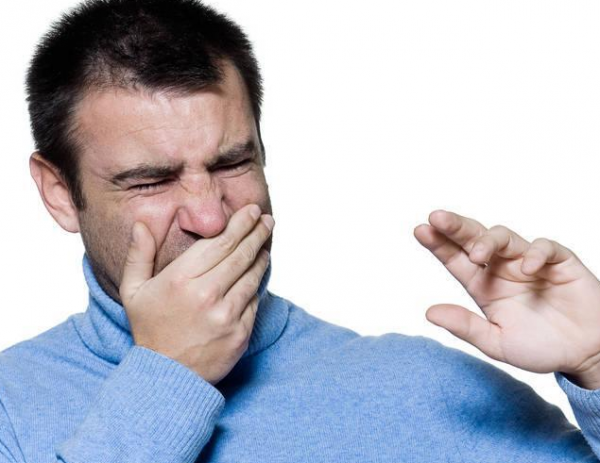 幾百塊錢一斤?俄羅斯遭大規模“臭屁蟲”入侵!網友:味道不錯 幾百塊錢一斤?俄羅斯遭大規模“臭屁蟲”入侵!網友:味道不錯