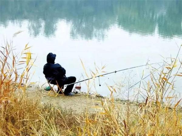 冬釣小水面水域,做到這幾點,漁獲至少多十條 冬釣小水面水域,做到這幾點,漁獲至少多十條