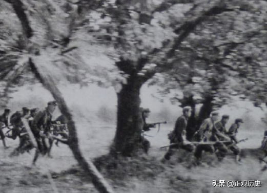 中越戰爭越軍316師：戰前宣稱打贏解放軍任意一個師，結果如何？