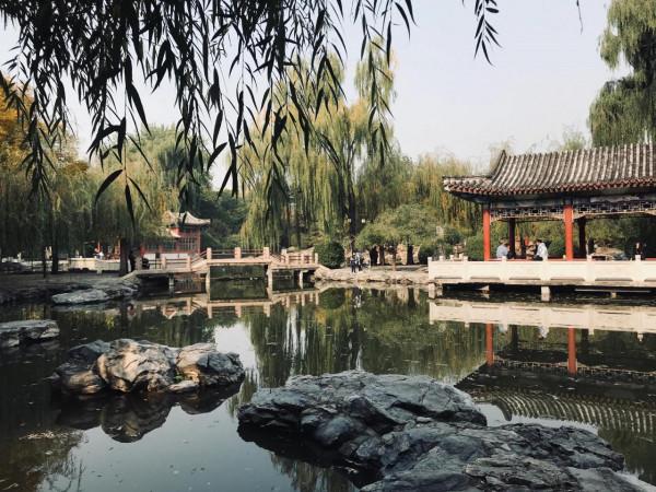 日壇路—日壇公園—芳草地小學 日壇路—日壇公園—芳草地小學