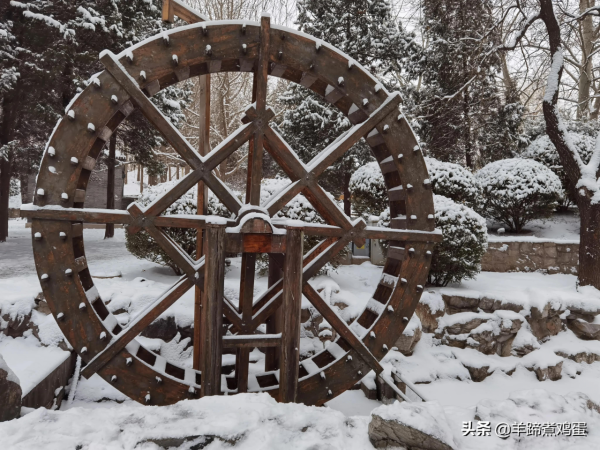 難覽觀園全畫景 雪覆臘梅一隅香&mdash;&mdash;踏雪尋遊北京大觀園