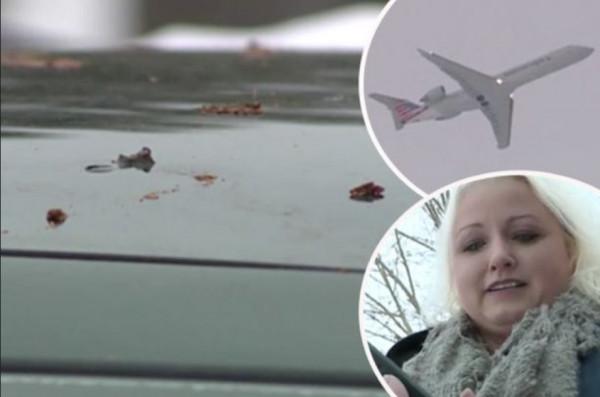 英國男子在花園散步,被飛機天降一潑屎澆一頭?這種倒黴事還不少 英國男子在花園散步,被飛機天降一潑屎澆一頭?這種倒黴事還不少