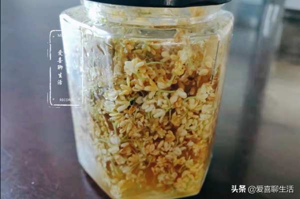 自制桂花蜜，水洗晾曬都不對，跟我這樣做，香味濃郁放多久都不壞