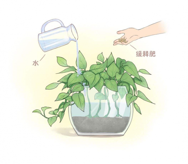 養花澆水十年功，牢記2個小妙招，輕鬆搞定澆水問題