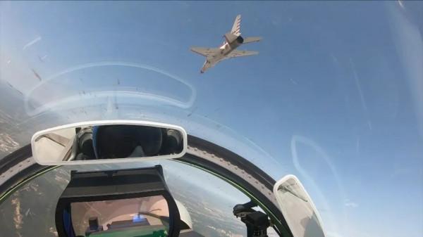 鳥撞飛機 鳥撞飛機