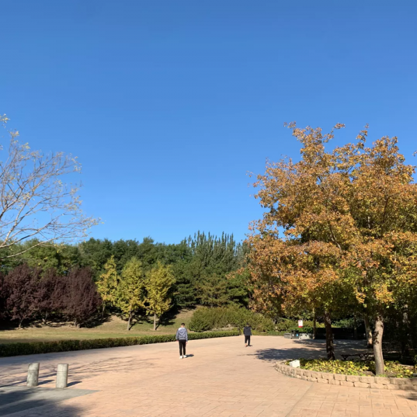 朝陽遊園推薦：大望京公園