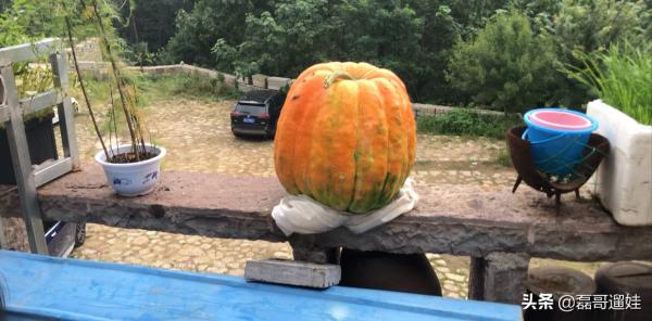 海拔840米,100多套石頭房臥在雲端,濟南這個神仙地方你去過嗎? 海拔840米,100多套石頭房臥在雲端,濟南這個神仙地方你去過嗎?