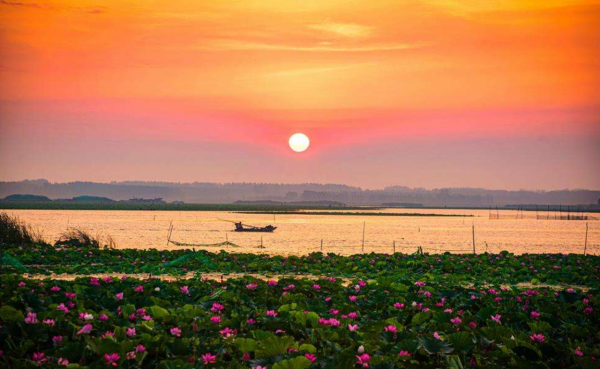 我軍飛行員違令出海殲滅敵機，上級請示中央，毛主席：有功無過