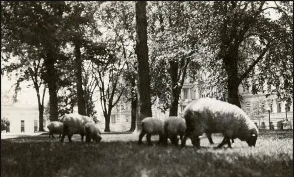 25個難以置信的動物事實,一個比一個神奇… 25個難以置信的動物事實,一個比一個神奇…