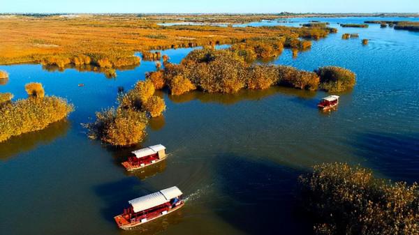448米！它被譽為西北第一高塔，銀川新地標，如今被通報難以建成