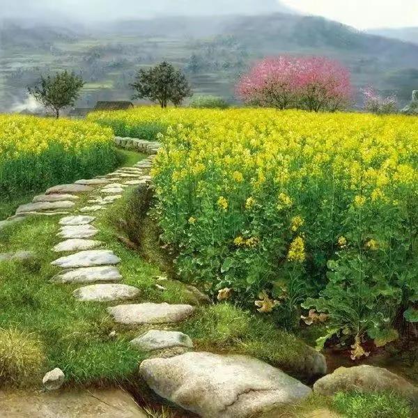 分享圖片&mdash;&mdash;美麗的油菜花集錦