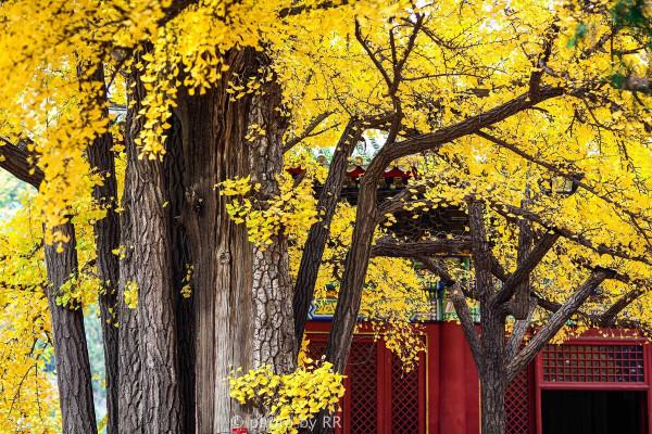 10月份欣賞秋色最值得去的10個地方 10月份欣賞秋色最值得去的10個地方