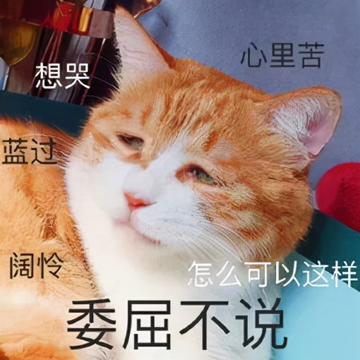 我就是做胃腸鏡檢查，為什麼還要取活檢？