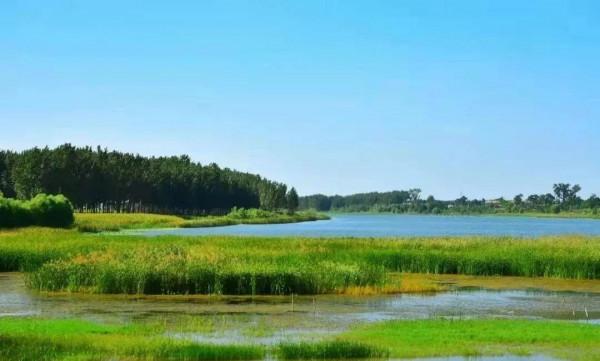 碭山生活志 | 來碭山「旅遊」,這些地方您一定不要錯過 碭山生活志 | 來碭山「旅遊」,這些地方您一定不要錯過