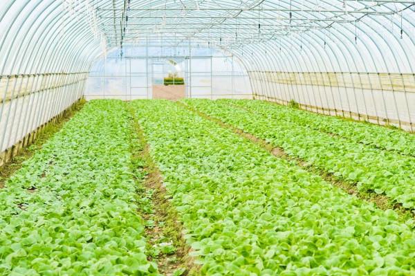 北京首款植保APP &OpenCurlyDoubleQuote;烽火惠農&rdquo; 上線，為傳統植保注入&OpenCurlyDoubleQuote;智慧&rdquo;因子