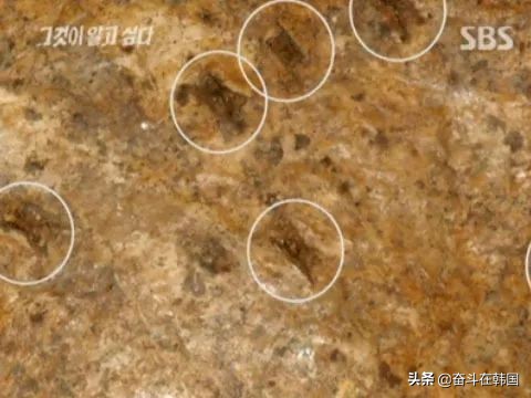 韓國三大懸案之一：5個孩子神秘失蹤，11年後屍體被埋在了家門口