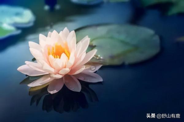 其實,你這一生過得怎樣,都蘊藏在上輩子的“因果”當中 其實,你這一生過得怎樣,都蘊藏在上輩子的“因果”當中