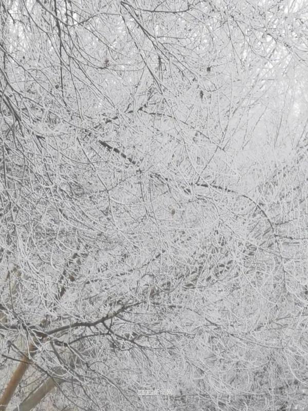 霧裡看凇｜冰城今日限定美景