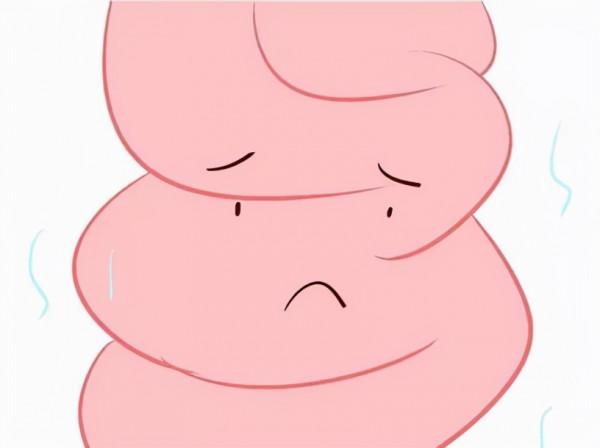 常被我們忽略的“第二大腦”,發起脾氣來不容小覷,這些方法助你“腸”壽! 常被我們忽略的“第二大腦”,發起脾氣來不容小覷,這些方法助你“腸”壽!