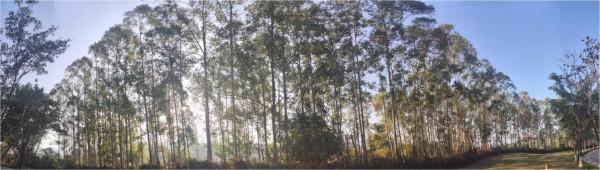 2022圖片秀·大美雅居白鷺湖（一）