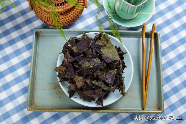 慢性咽炎?送你五味中藥,行氣散結,化痰降逆,助你清清嗓 慢性咽炎?送你五味中藥,行氣散結,化痰降逆,助你清清嗓