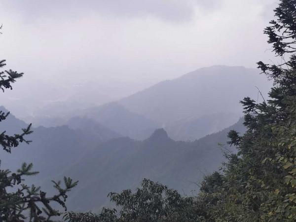 在這個陪著楓葉飄零的晚秋