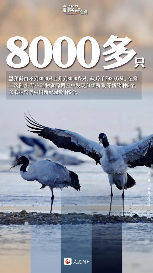 坐上火車，去拉薩